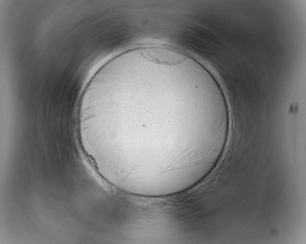 X0000114201056200911200955