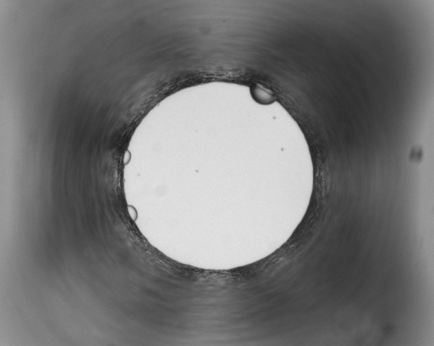 X0000114201058200911200954