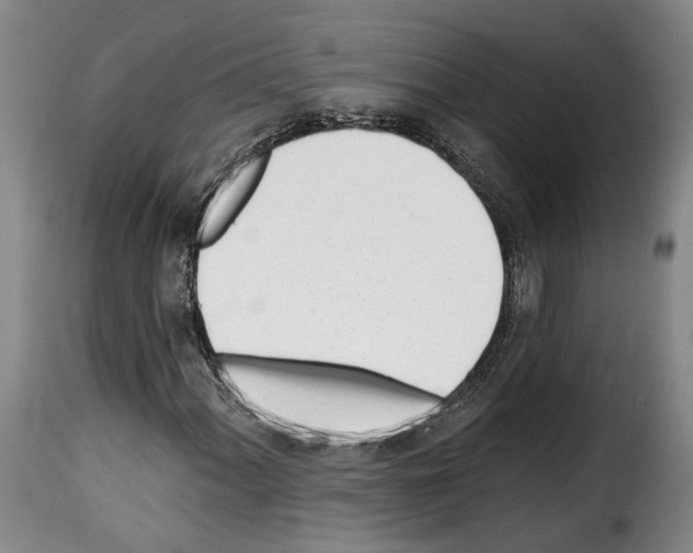 X0000114201060200911200954