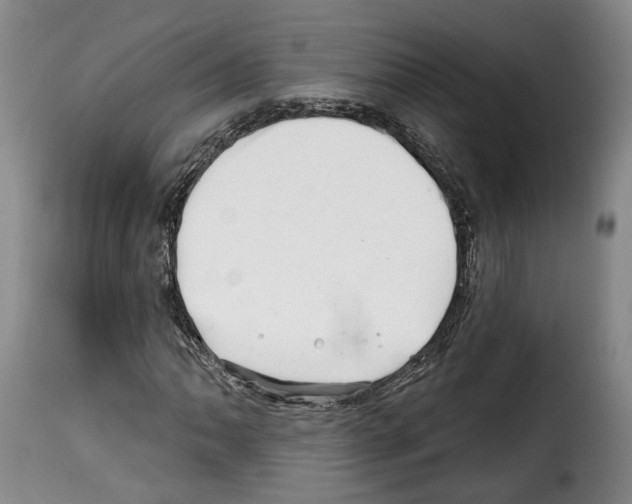 X0000114201062200911200954