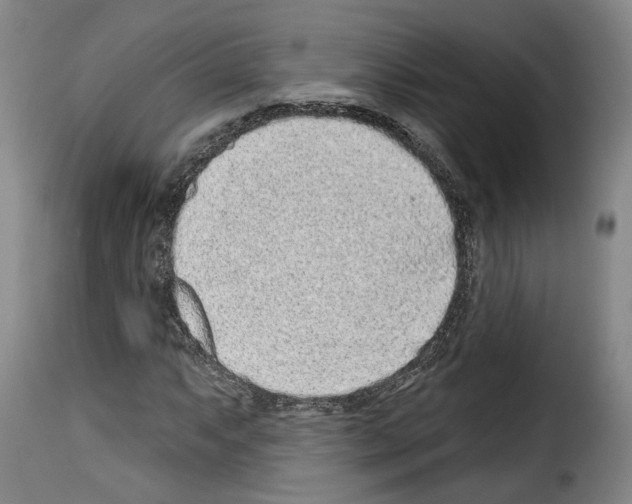 X0000114201063200911200954