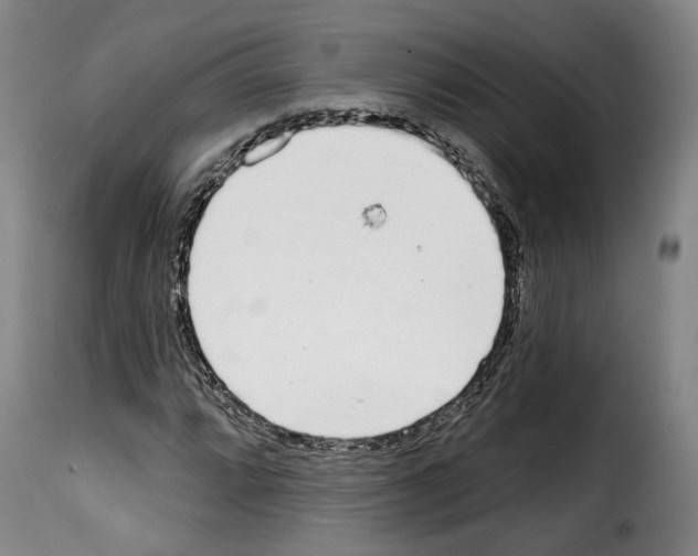 X0000114201064200911200954