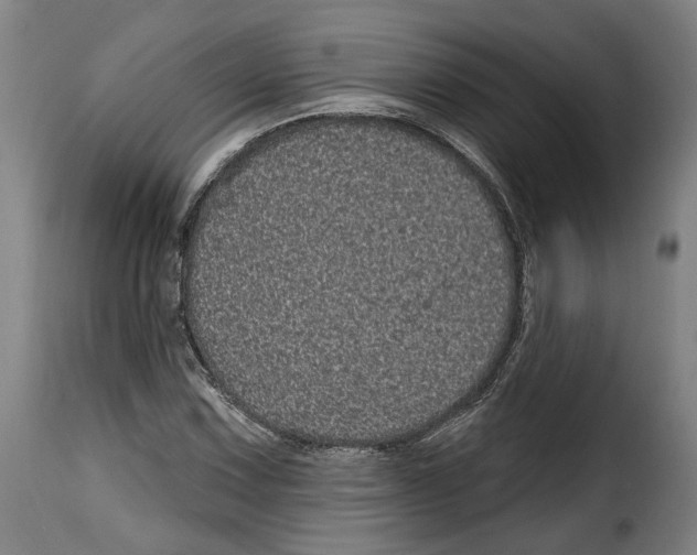 X0000114201067200911200954