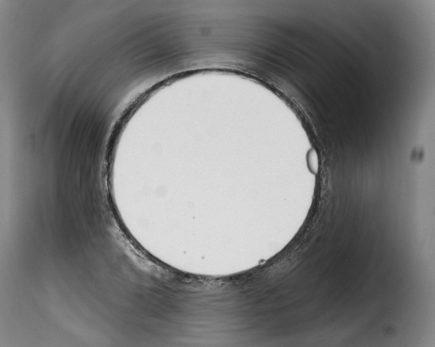 X0000114201072200911200954