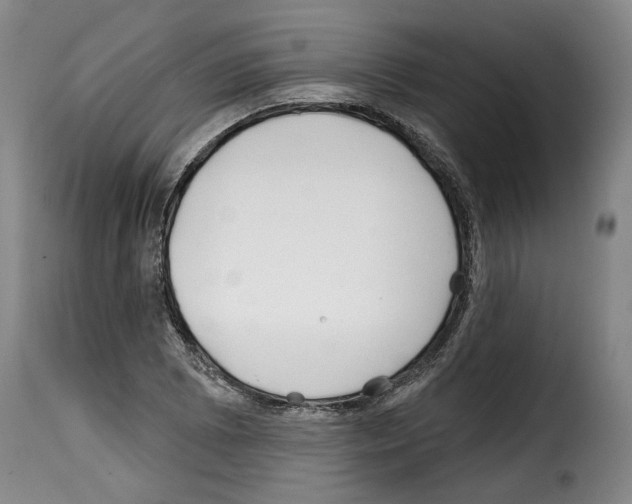 X0000114201073200911200954