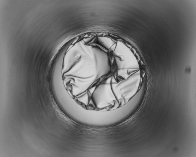 X0000114201075200911200954