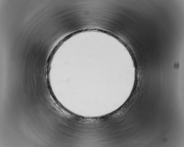 X0000114201076200911200954