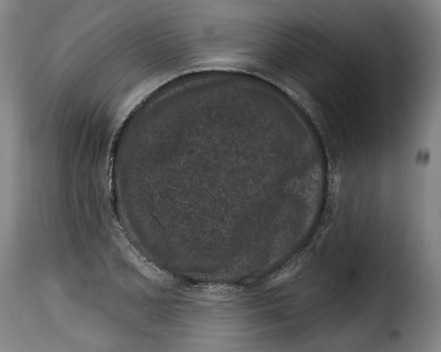 X0000114201077200911200954