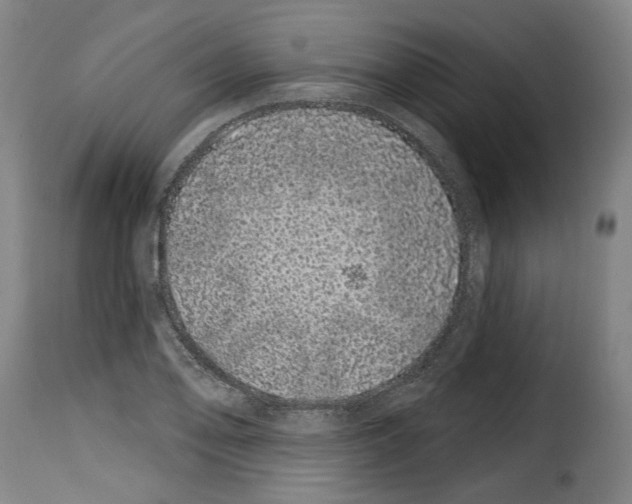 X0000114201078200911200954