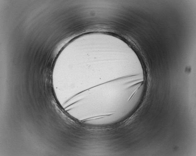 X0000114201081200911200954