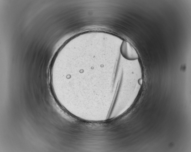 X0000114201082200911200954