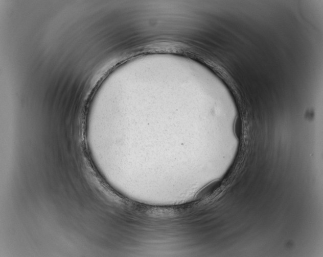 X0000114201083200911200954