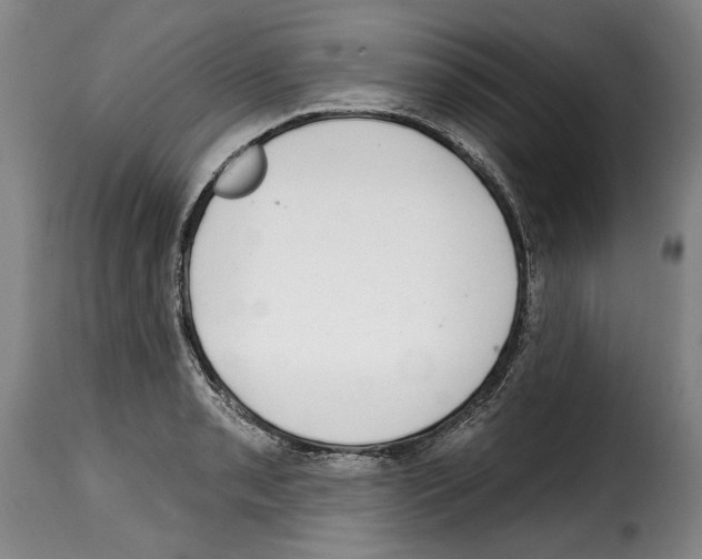 X0000114201085200911200954