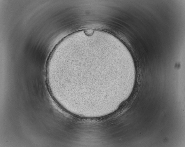 X0000114201087200911200954