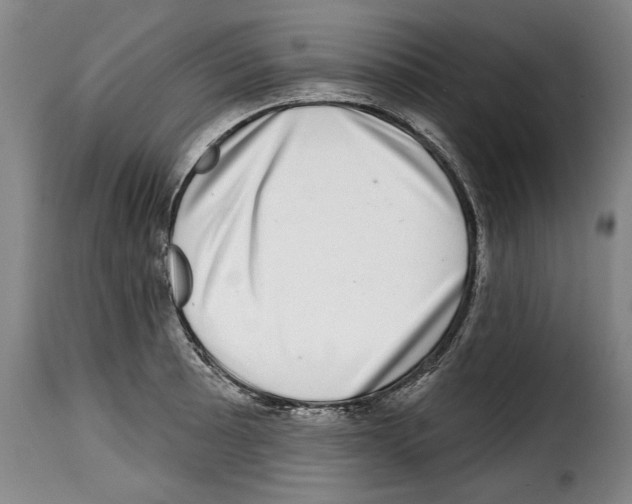 X0000114201089200911200954