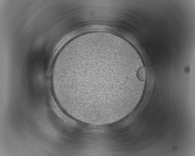 X0000114201090200911200954