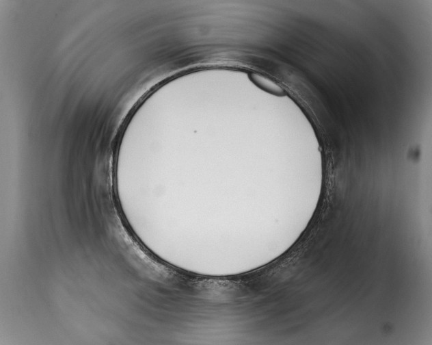 X0000114201092200911200954