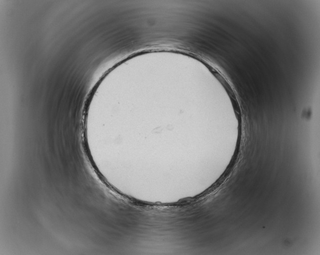 X0000114201093200911200954