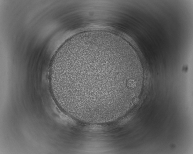 X0000114201094200911200954