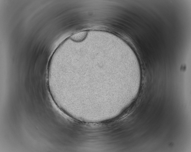 X0000114201095200911200954