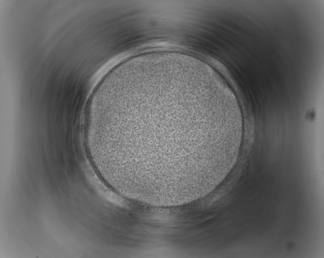 X0000114201098200911200954