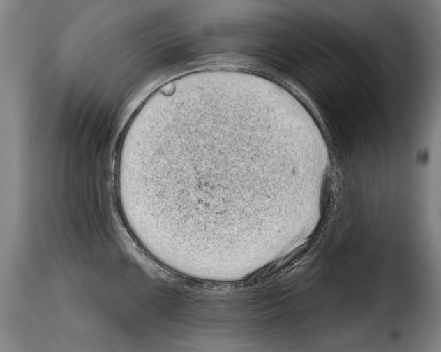 X0000114201099200911200954