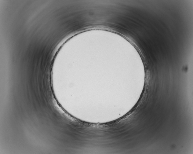 X0000114201100200911200954