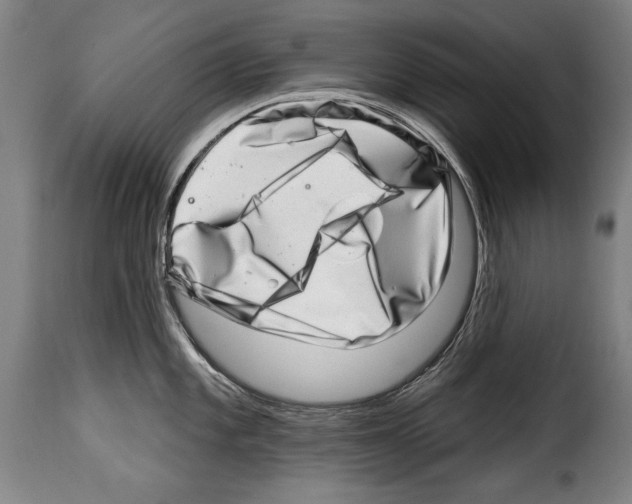 X0000114201101200911200954