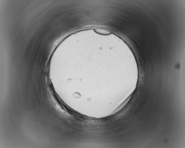 X0000114201102200911200954