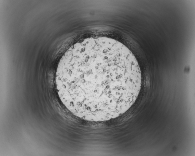 X0000114201108200911200953