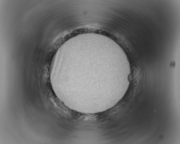 X0000114201110200911200953