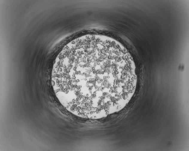 X0000114201112200911200953