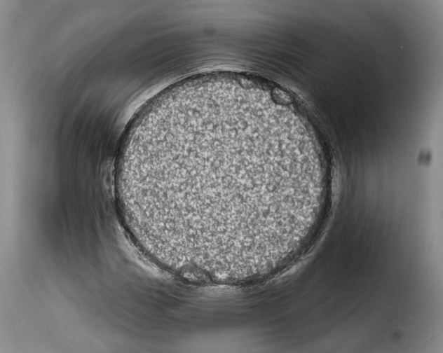 X0000114201113200911200953