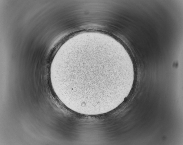 X0000114201115200911200953