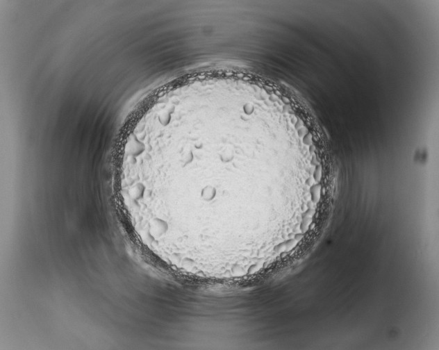 X0000114201117200911200953