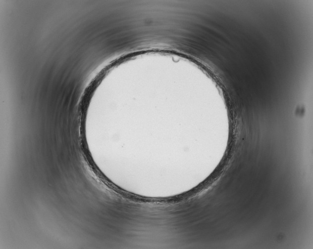 X0000114201118200911200953