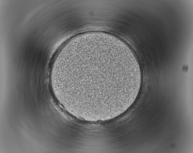 X0000114201119200911200953