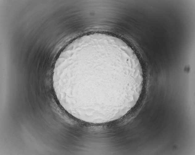 X0000114201121200911200953