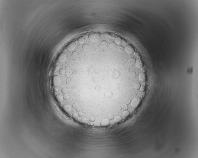 X0000114201126200911200953