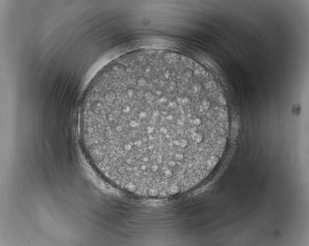 X0000114201130200911200953