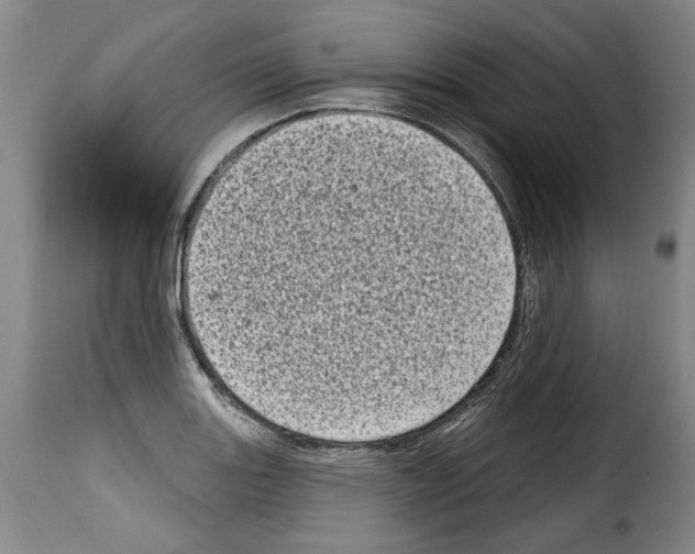 X0000114201131200911200953