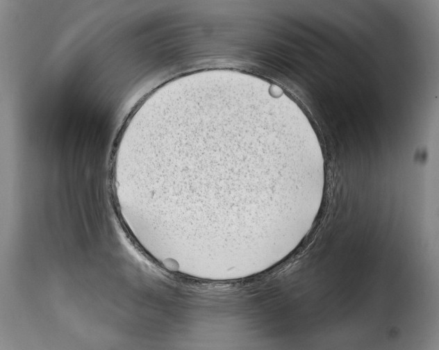 X0000114201135200911200954