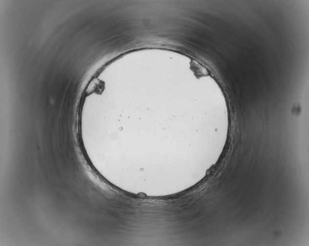 X0000114201136200911200954