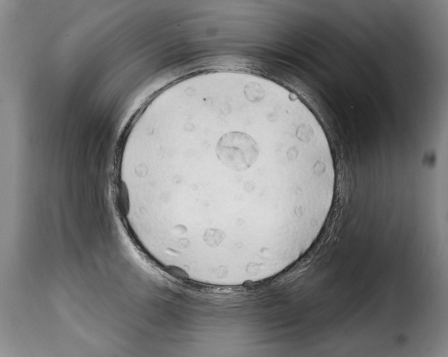 X0000114201139200911200954