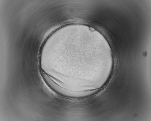 X0000114201141200911200954