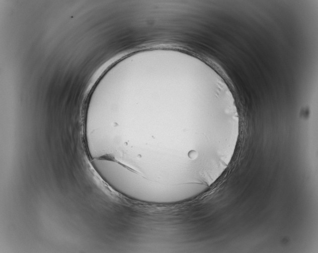 X0000114201148200911200954