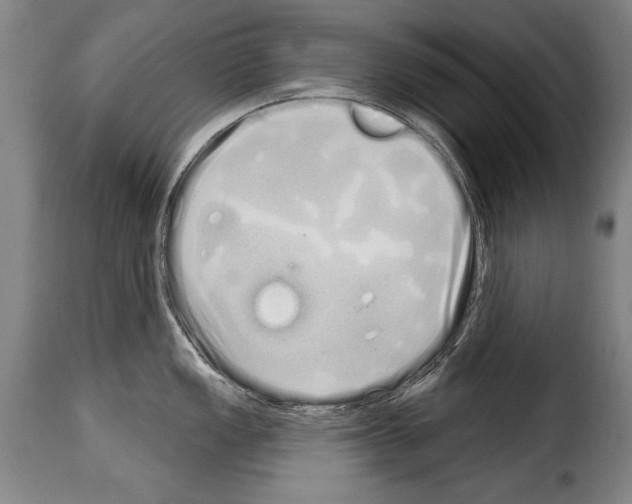 X0000114201149200911200954