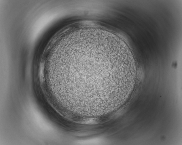 X0000114201150200911200954