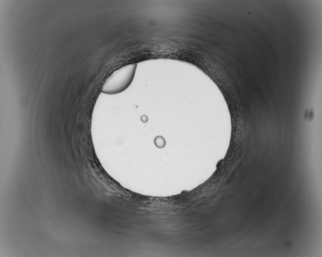 X0000114201153200911200953