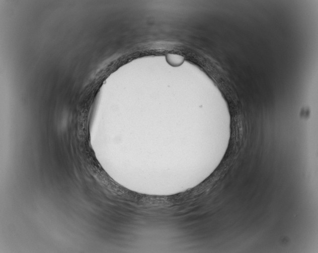 X0000114201158200911200953